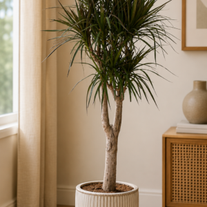 golden pothos pole