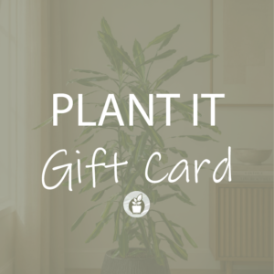 plant it gift card
